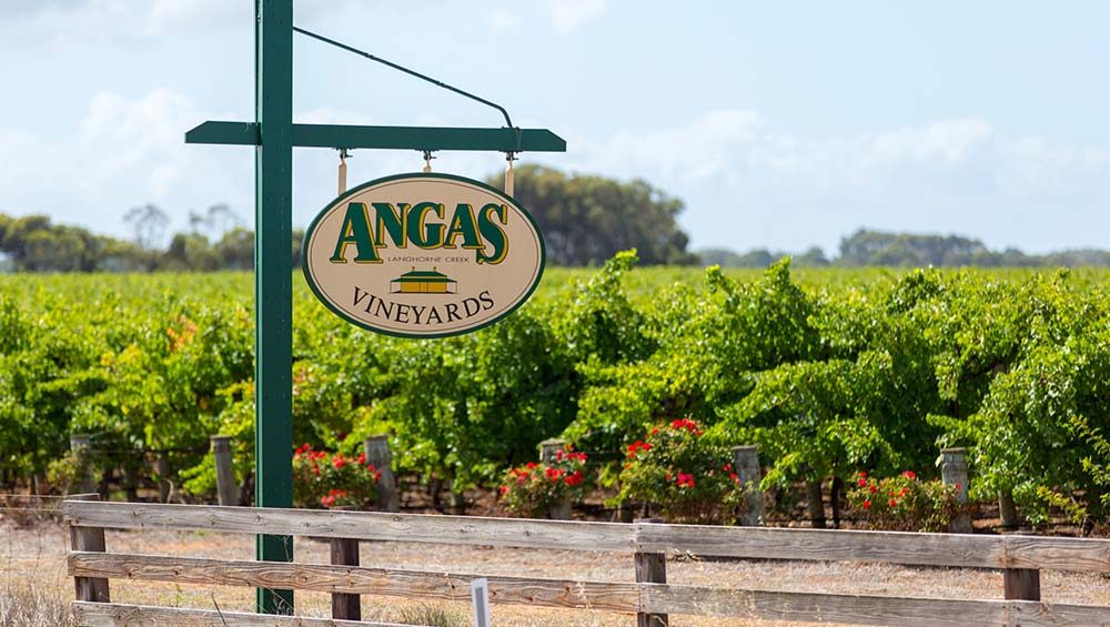 #19Angas